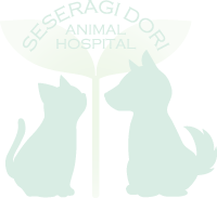 �����a�@ ����