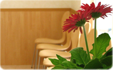 �a�C�ɂȂ�Ȃ����߂�