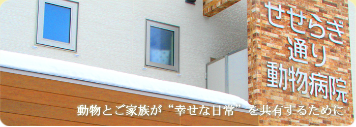 �����Ƃ��Ƒ����K���ȓ�������L���邽�߂�